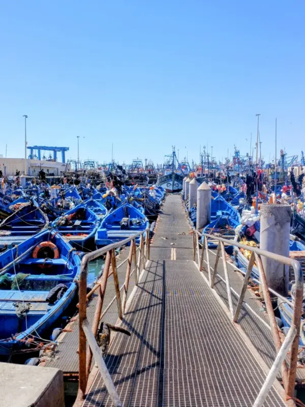Essaouira fishing port with blue boats Morocco