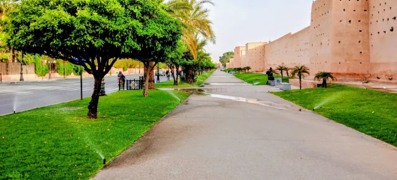 Marrakech gardens and streets.