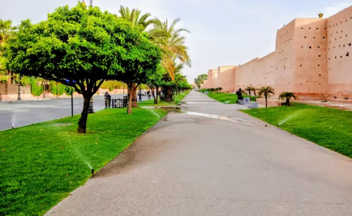 Marrakech gardens and streets.