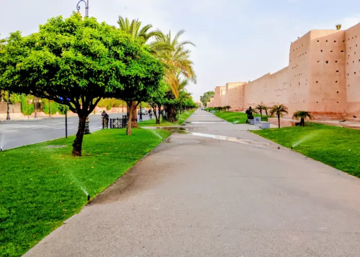 Marrakech gardens and streets.
