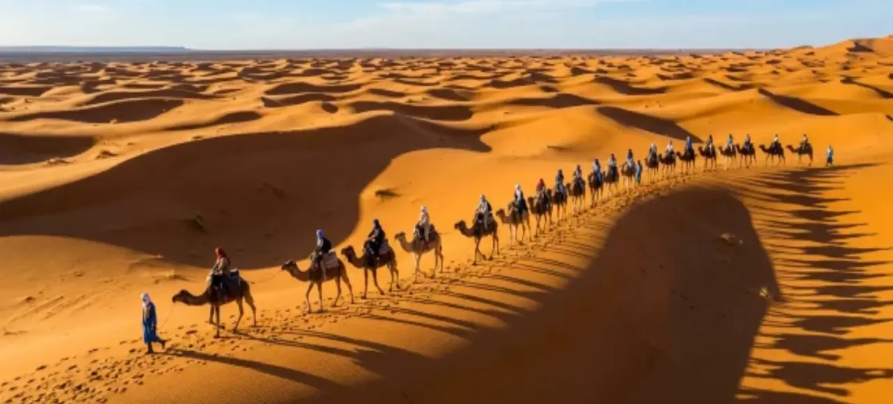 Camel trekking in Merzouga Sahara Desert dunes at sunset Morocco