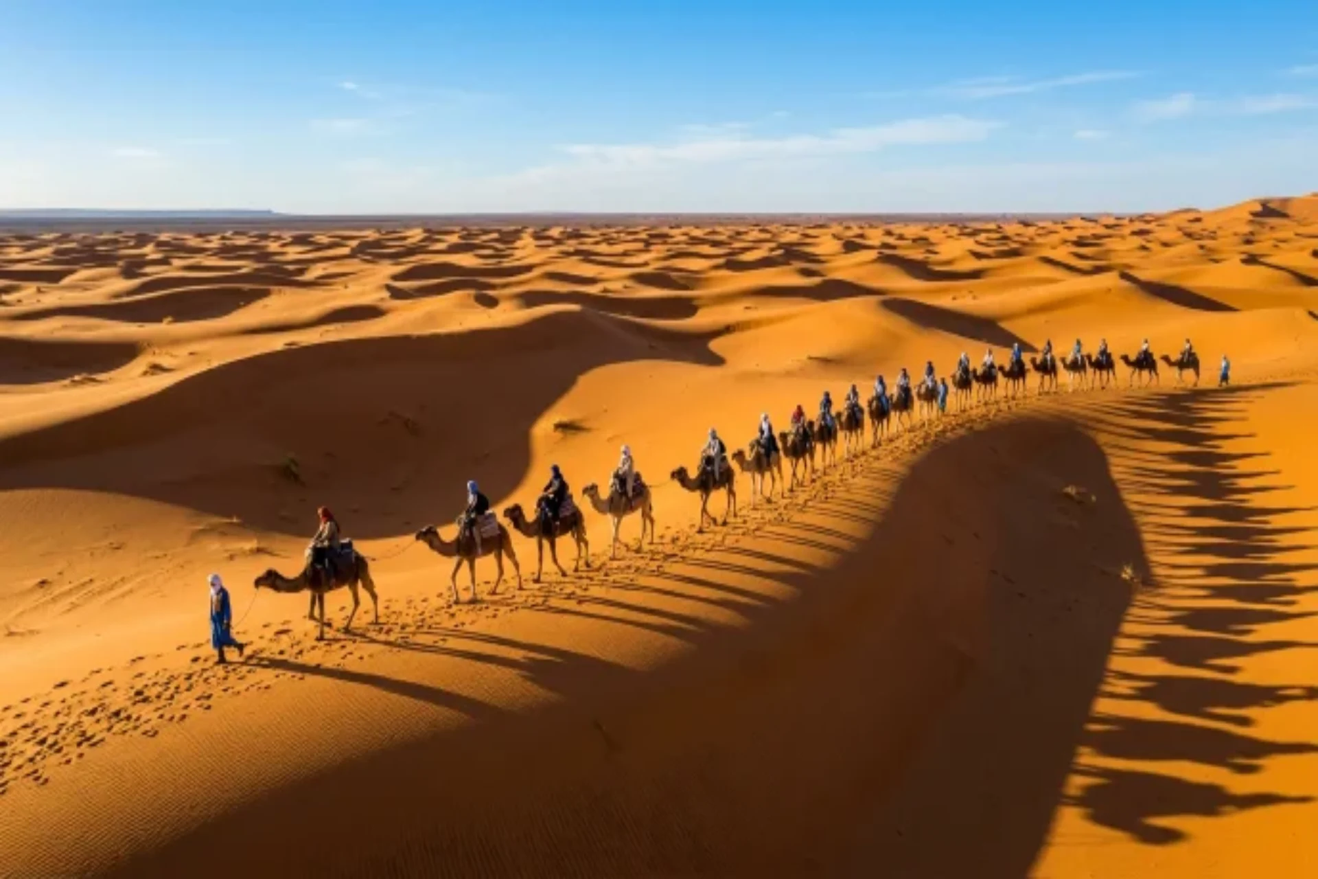 Camel trekking in Merzouga Sahara Desert dunes at sunset Morocco