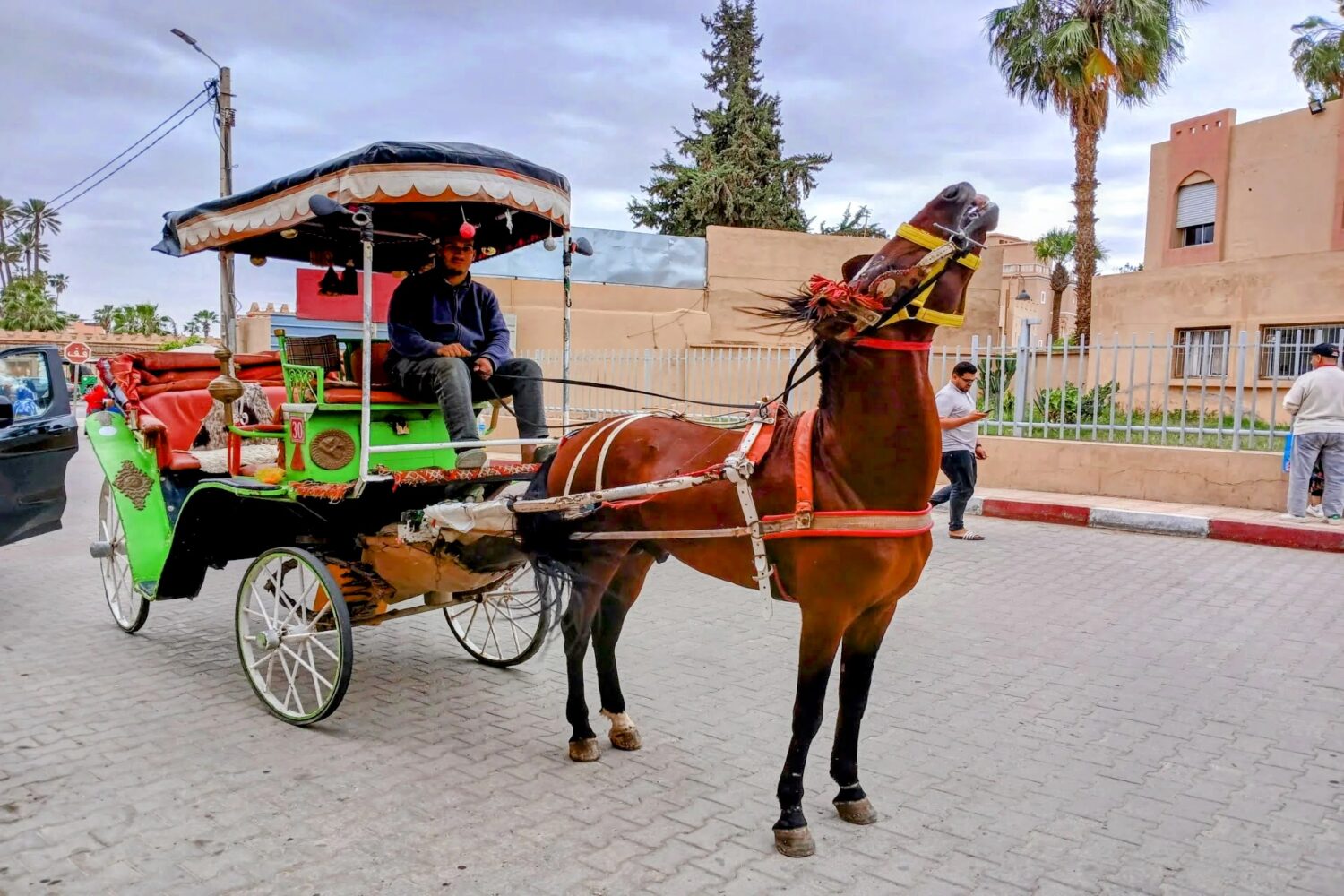 Carriage ride tour in Taroudant medina Morocco