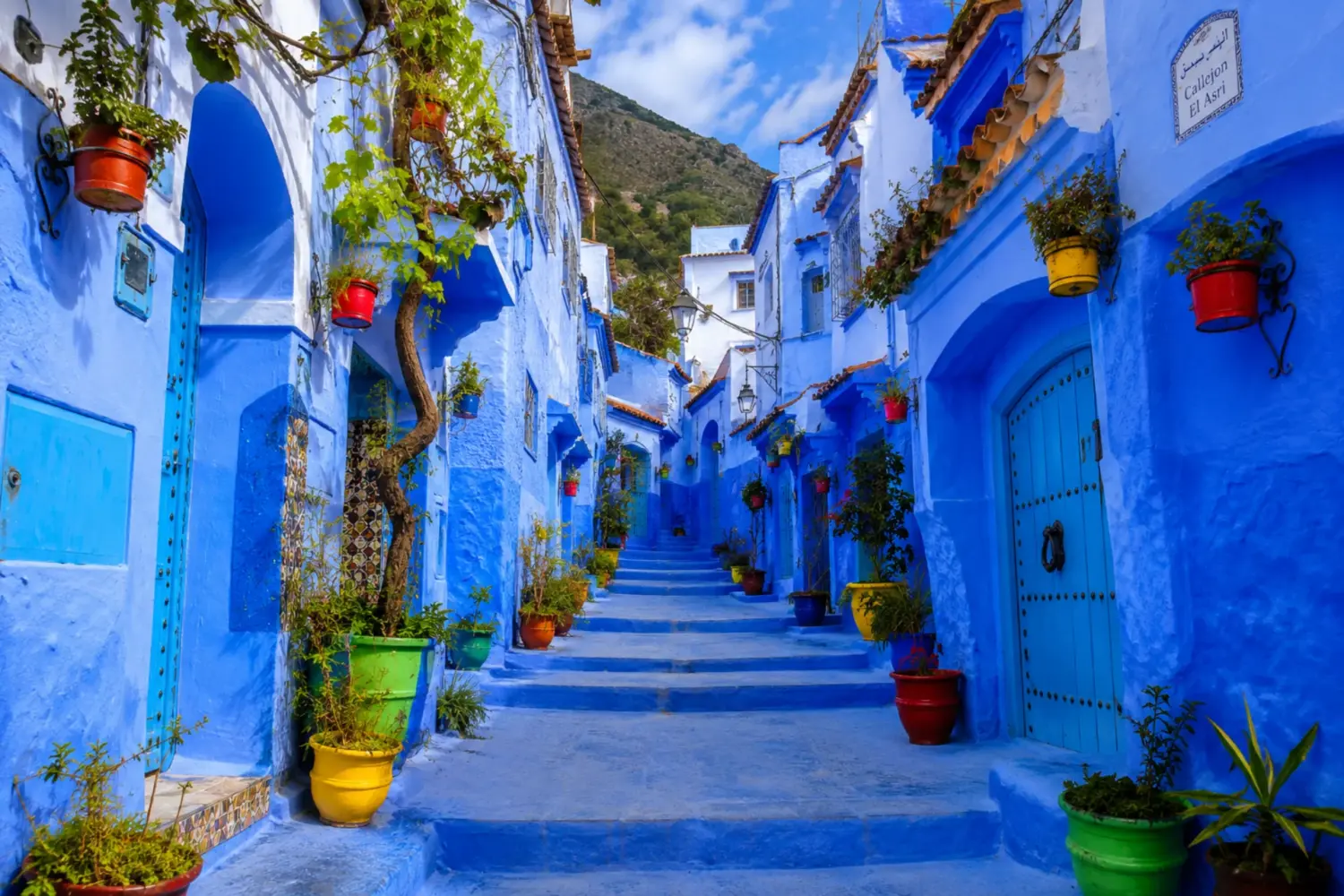 Charming blue street in Chefchaouen decorated with colorful flower pots and traditional Moroccan architecture