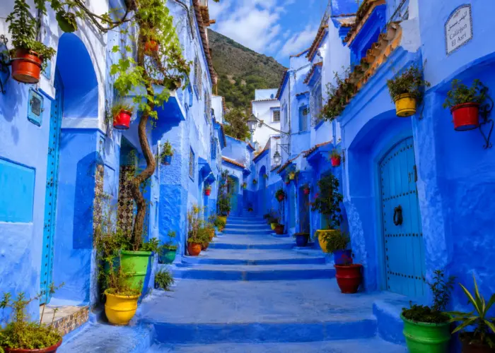 Charming blue street in Chefchaouen decorated with colorful flower pots and traditional Moroccan architecture