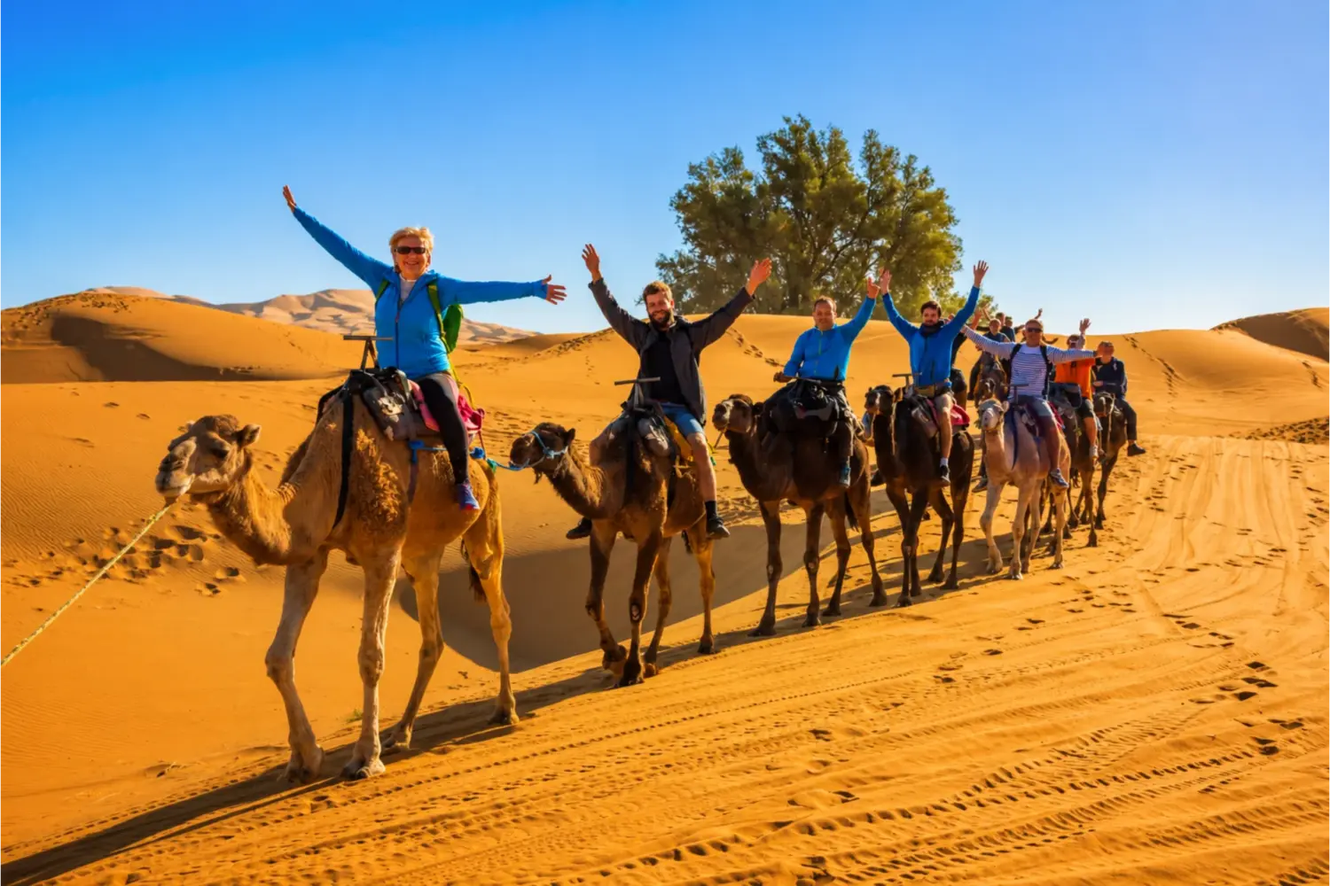 Tourists riding camels across the Sahara Desert dunes during the 0 Day Complete Morocco Experience from Marrakech