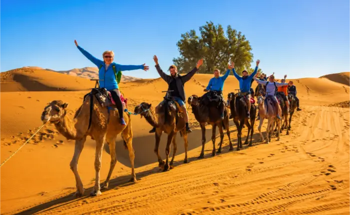 Tourists riding camels across the Sahara Desert dunes.