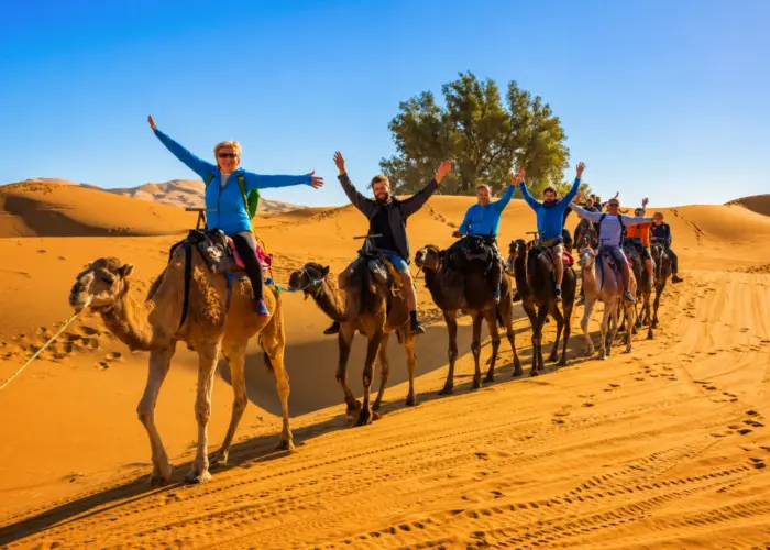 Tourists riding camels across the Sahara Desert dunes during the 0 Day Complete Morocco Experience from Marrakech