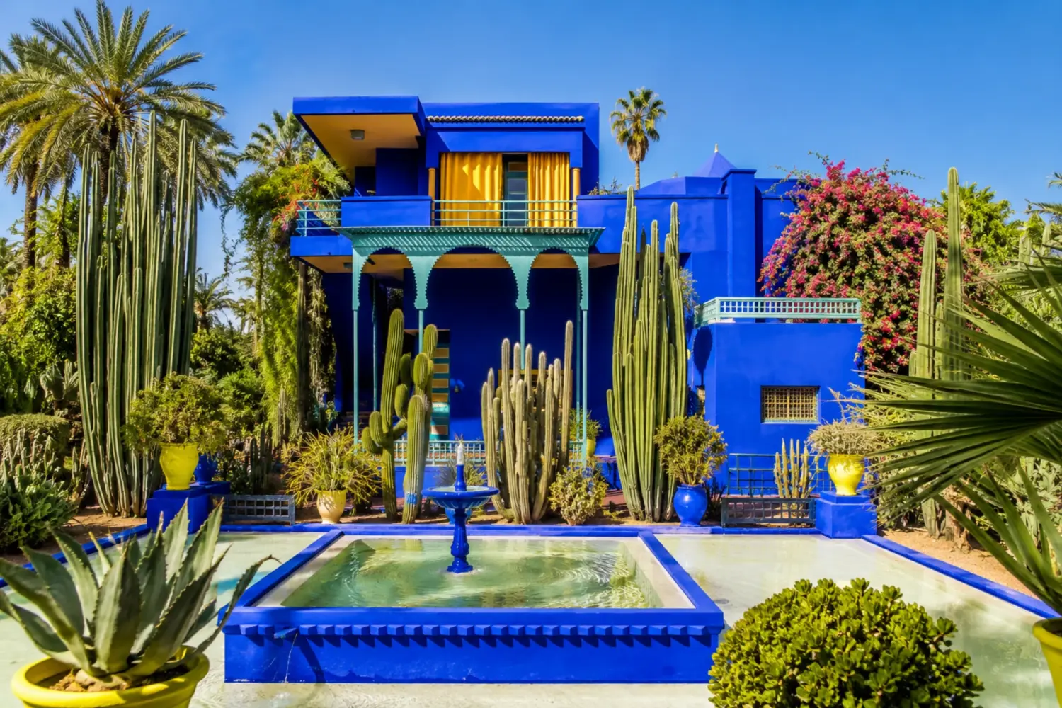 Majorelle Garden pathway surrounded by palms, cacti, and blue buildings visited on 30 Day Morocco Explorer Tour from Casablanca.