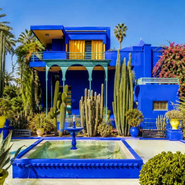 Majorelle Garden pathway surrounded by palms, cacti, and blue buildings