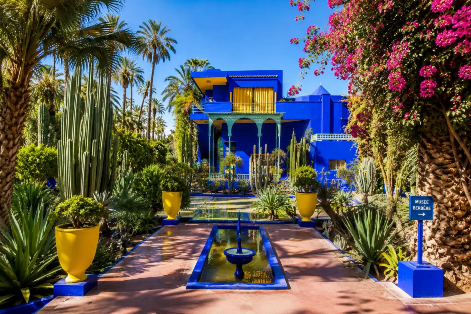 Vibrant Majorelle Garden with exotic plants and blue architecture in Marrakech during 7 Day Tour Sahara and Chefchaouen from Casablanca