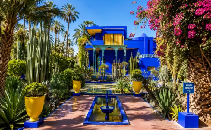 Vibrant Majorelle Garden with exotic plants and blue architecture in Marrakech during 7 Day Tour Sahara and Chefchaouen from Casablanca