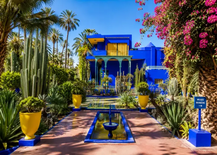 Vibrant Majorelle Garden with exotic plants and blue architecture in Marrakech during 7 Day Tour Sahara and Chefchaouen from Casablanca