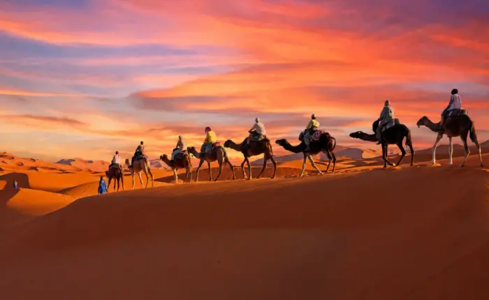 Colorful sunset sky above the Sahara Desert with camels silhouetted against the horizon.