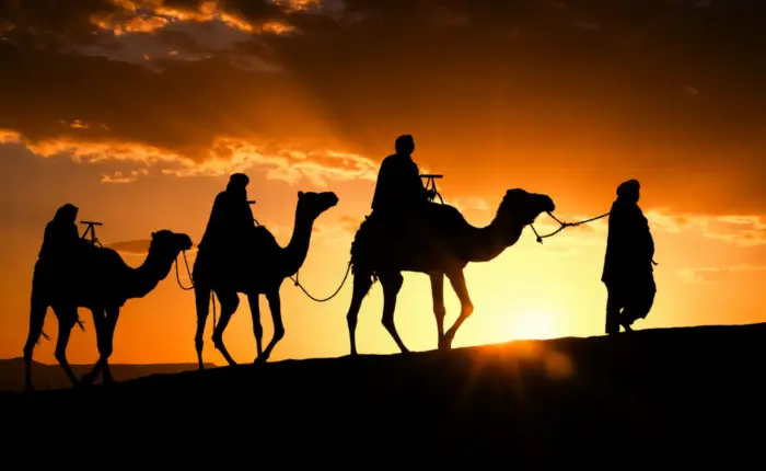 Alt Text: Camel caravan crossing the Merzouga dunes at sunset