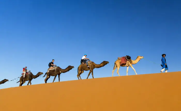 Travelers riding camels across the golden sand dunes of Merzouga in the Moroccan Sahara 8 Day Tour from Marrakech to Sahara Desert and Chefchaouen