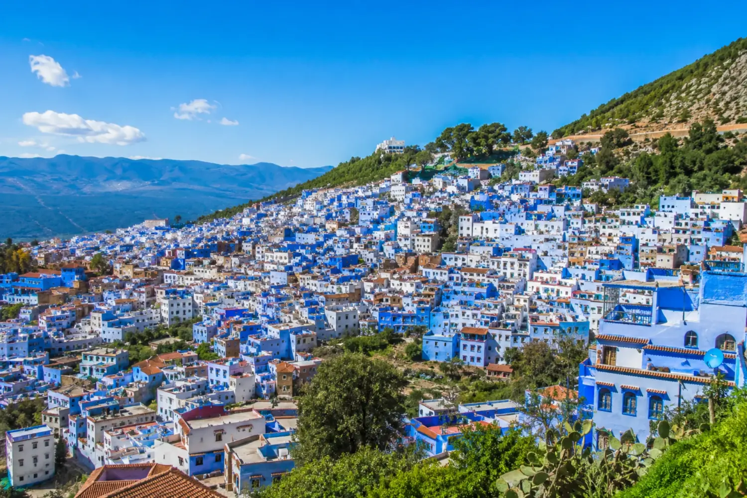 Panoramic view of Chefchaouen's blue-painted houses under a clear sky in the Rif Mountains, Morocco.