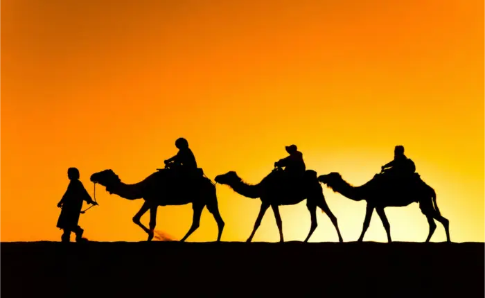 Camel caravan silhouetted against a vibrant sunset in the Merzouga Desert, Morocco.