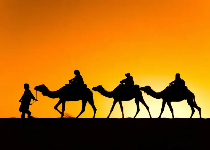 Camel caravan silhouetted against a vibrant sunset in the Merzouga Desert, Morocco.